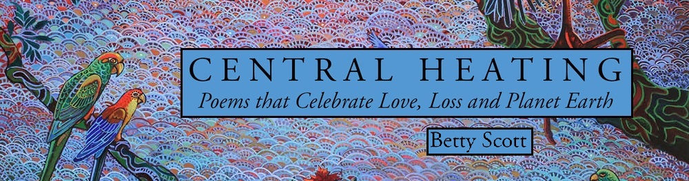 Central Heating, Poems Celebrating Love, Loss and Planet Earth